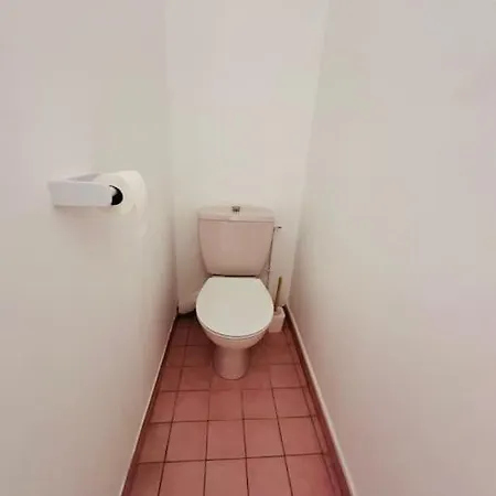 Climatisee Confort Grand Jardin Clos Avec Piscine, Proche